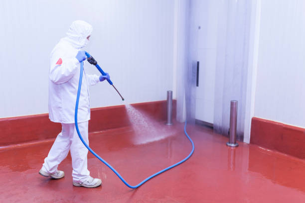Best Oil Spill Cleanup  in San Ysidro, NM